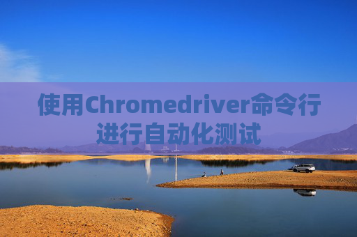 使用Chromedriver命令行进行自动化测试
